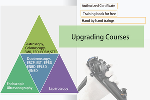 Upgrading Courses 