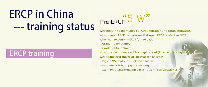 ERCP in China—training status and market overview
