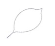 Disposable polypectomy snare (oval-shape)